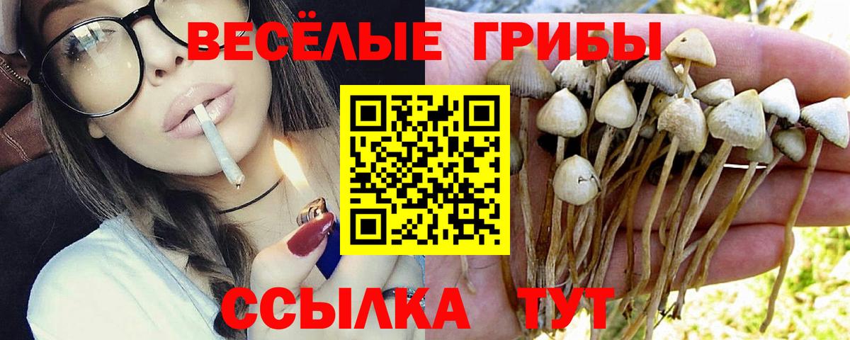 Псилоцибиновые грибы Magic Shrooms  Вход с VPN  Чита 