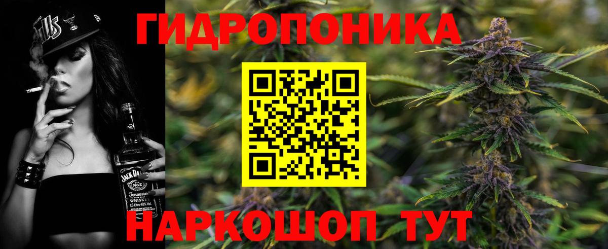 Шишки марихуана индика  Каннабис конопля  Чита  Вход с VPN  Бошки марихуана марихуана 